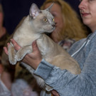 Haustiermesse 2017 - Marxhalle - 26_02_2017 _193 von 203_.jpg