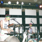 monkey braaks 010.jpg