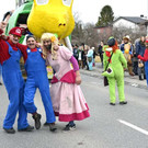 11 Faschingsumug 2017.jpg
