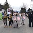 29 Faschingsumug 2017.jpg