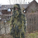 48 Faschingsumug 2017.jpg