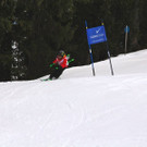 _MG_5333.jpg