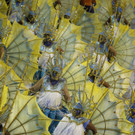 Brazil_Carnival_07330.jpg