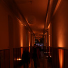 IMG_6999.JPG