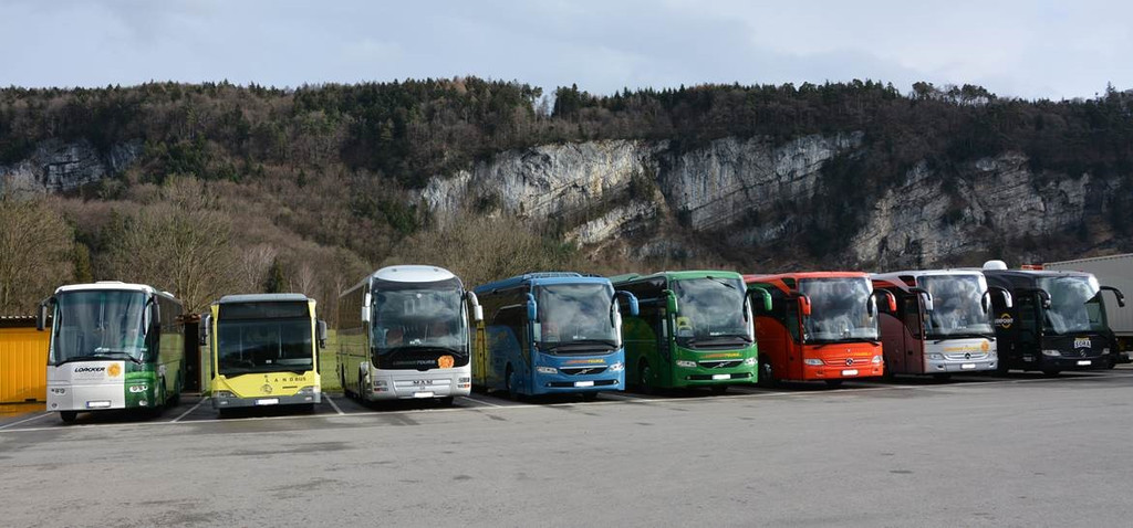 Busflotte neu_2.jpg