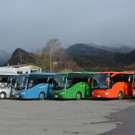 Busflotte neu.jpg