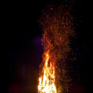 DSC01438.jpg