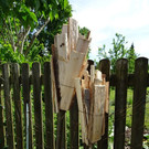DSC06822.jpg