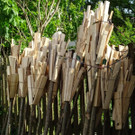 DSC06835.jpg