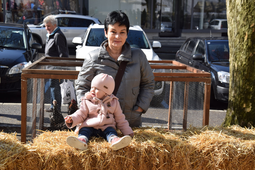 DSC_0031 - Kopie.JPG