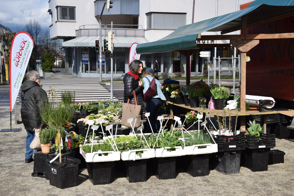 DSC_0050 - Kopie.JPG