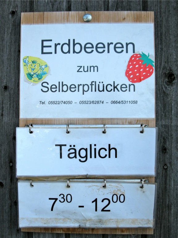 KOE_Erdbeeren pfl__cken 1_jpg-1278490670