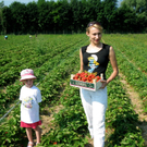 KOE_Erdbeeren pfl__cken_jpg-1278491068