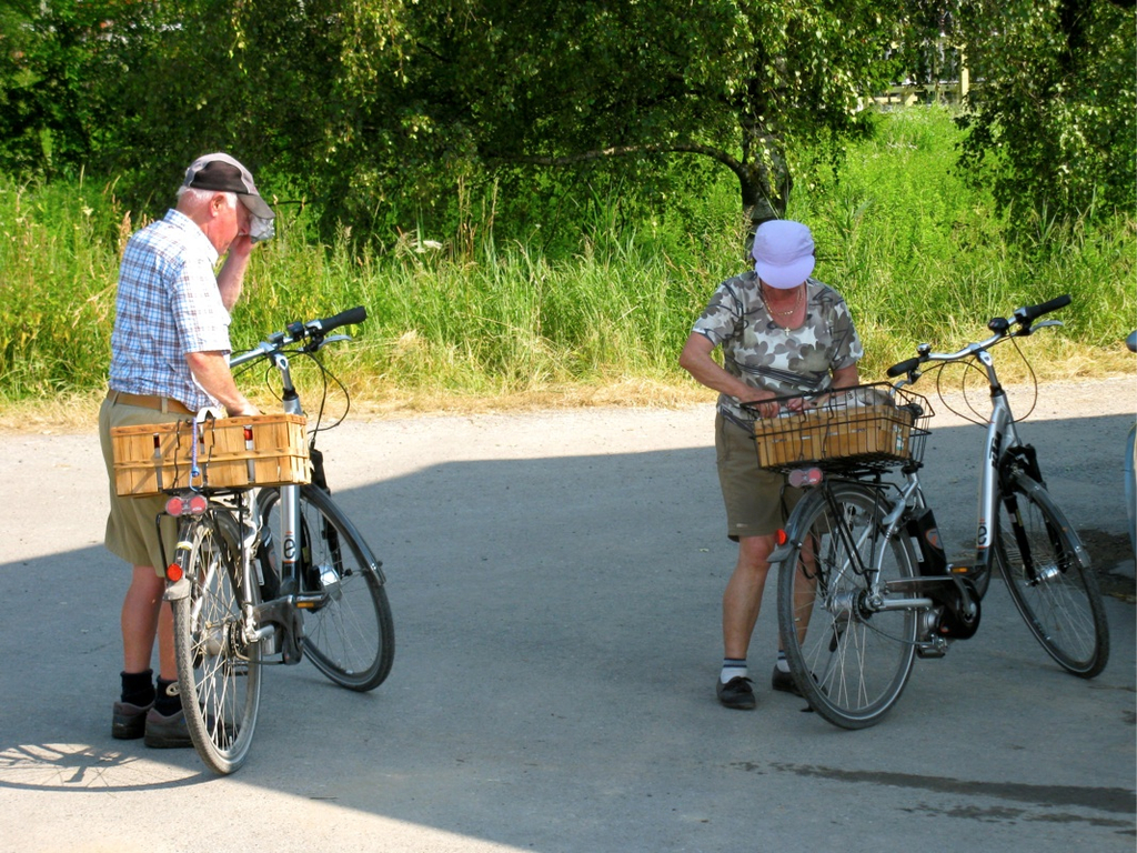 KOE_Erdbeeren pfl__cken 4_jpg-1278490698