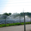 KOE_Erdbeeren pfl__cken 5_jpg-1278490707