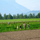 KOE_Erdbeeren pfl__cken 6_jpg-1278490715