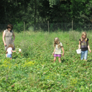 KOE_Erdbeeren pfl__cken 23_jpg-1278490914