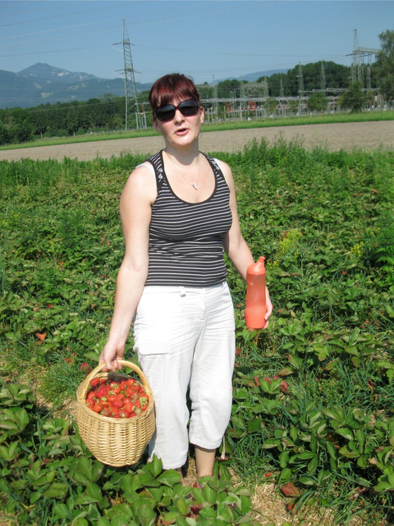 KOE_Erdbeeren pfl__cken 25_jpg-1278490932