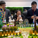 AFP_M50P7.jpg