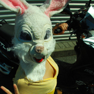 DSC_4981.jpg