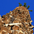 holzfunken.jpg