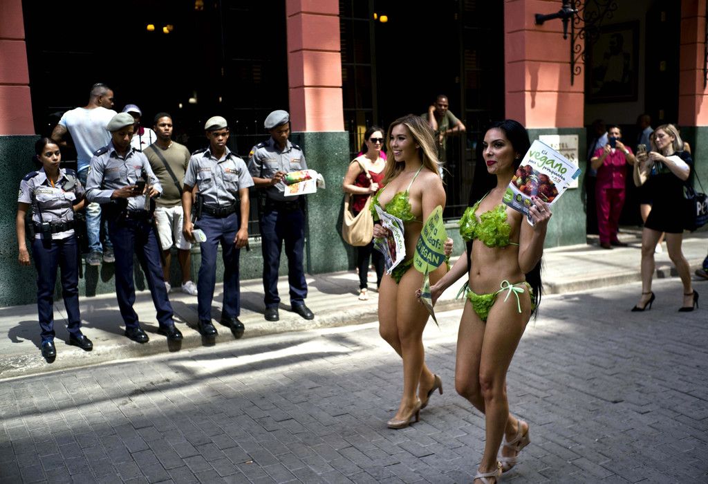 Cuba_Lettuce_Ladies_07432.jpg