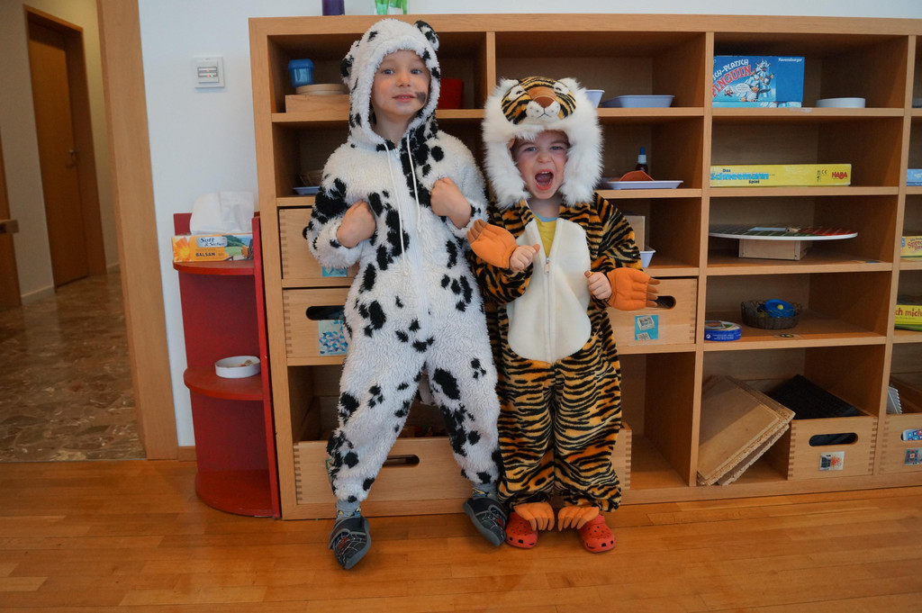 Faschingsdienstag _10_.JPG
