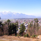 IMG_3711.jpg