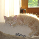 DSC02375.JPG