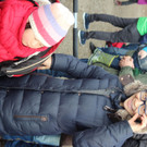 IMG_0774_JPG-1488667521.jpg