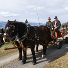 DSC01384.JPG