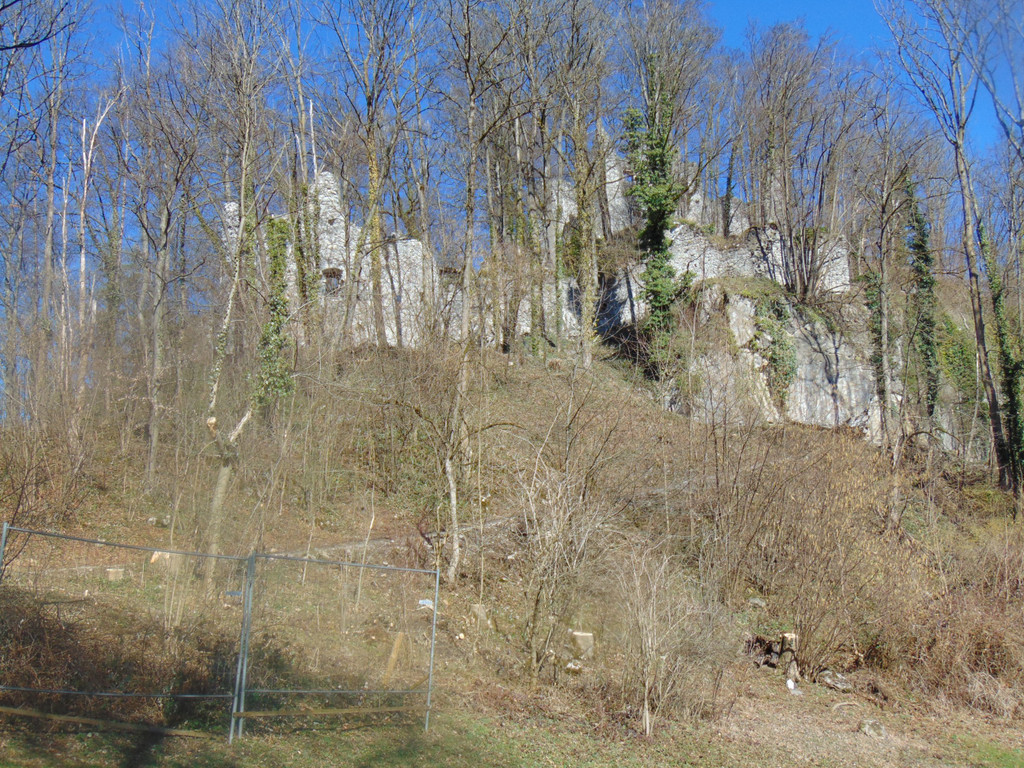 DSC03615.JPG