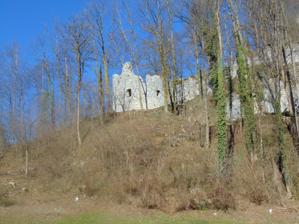 DSC03599.JPG