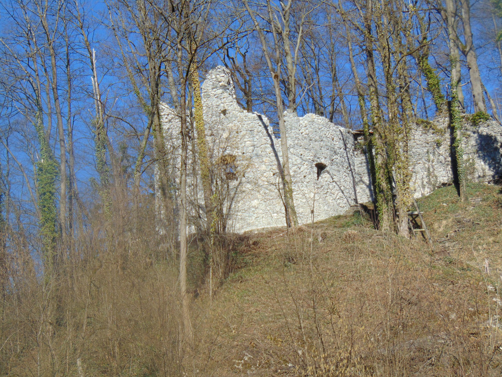 DSC03600.JPG