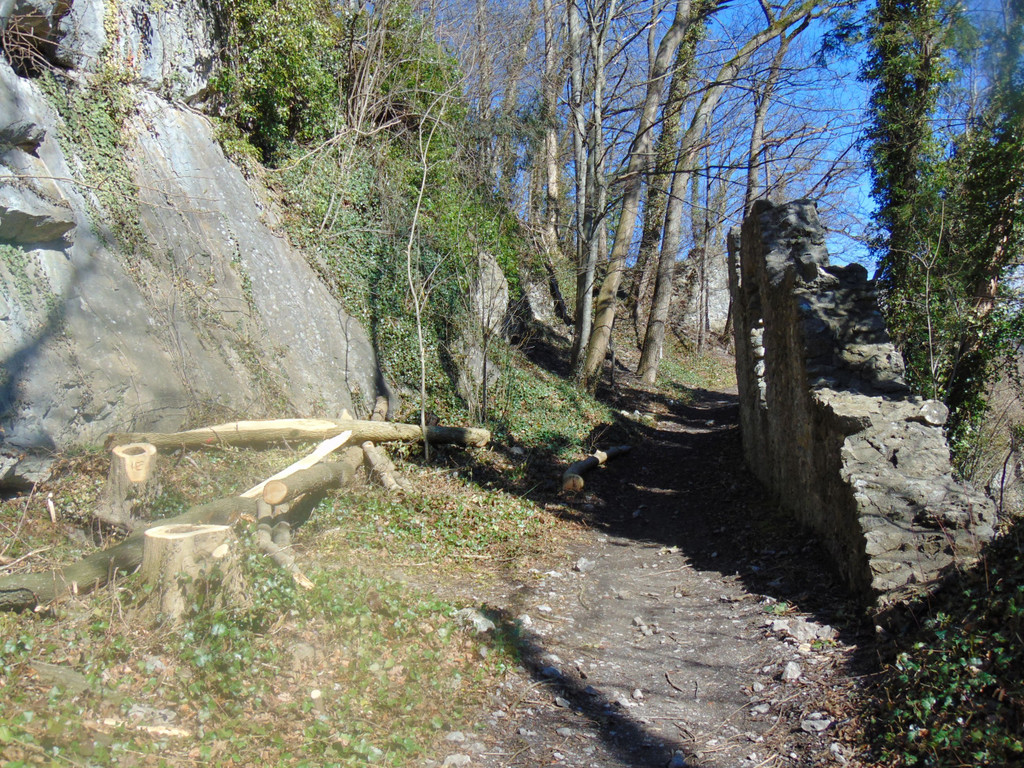 DSC03603.JPG