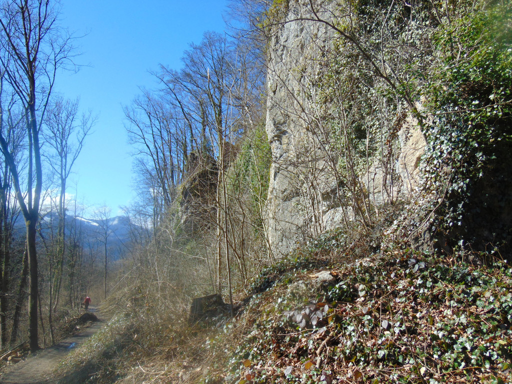 DSC03604.JPG