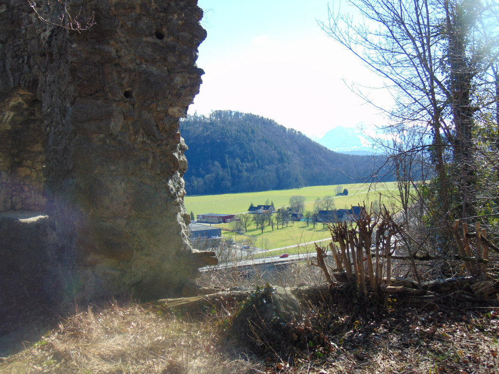 DSC03606.JPG