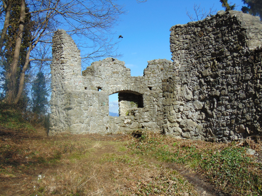 DSC03607.JPG