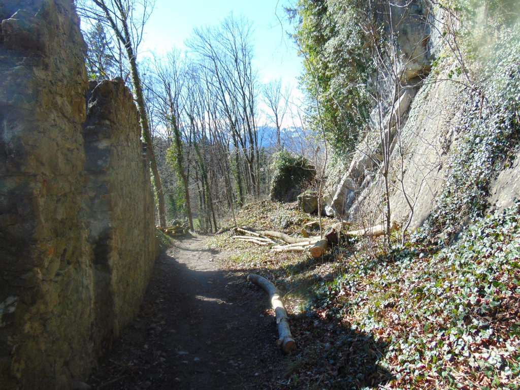 DSC03614.JPG