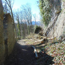 DSC03614.JPG