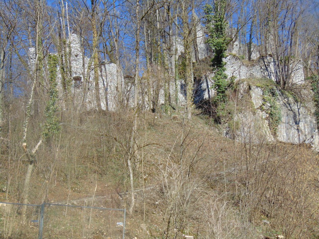 DSC03616.JPG