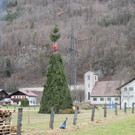 IMG_0792.JPG