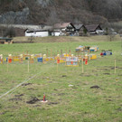 IMG_0793.JPG