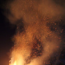 IMG_2688.JPG