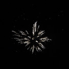 IMG_2755.JPG