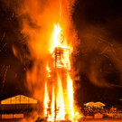 Beste Bilder vom Funken Haselstauden