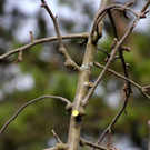 IMG_0791.jpg