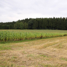 normal_130809kammer__285_von_6_29.jpg