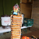IMG_7725.JPG