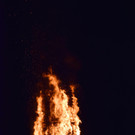 DSC_0069 _3_.JPG